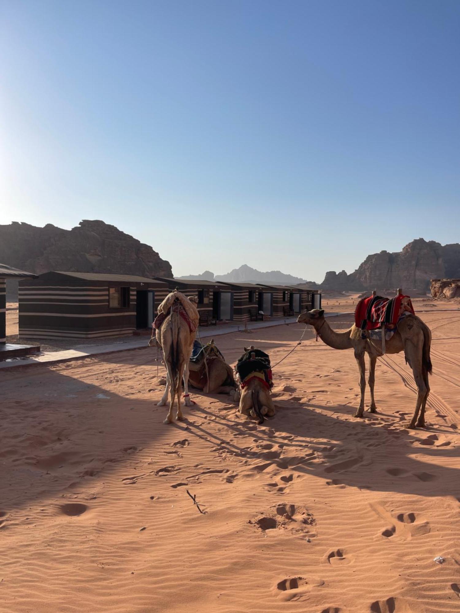Wadi Rum Star Camp エクステリア 写真